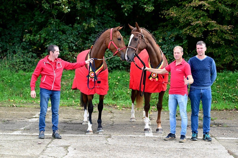 National breeding day BWP succesfull for De Regor.